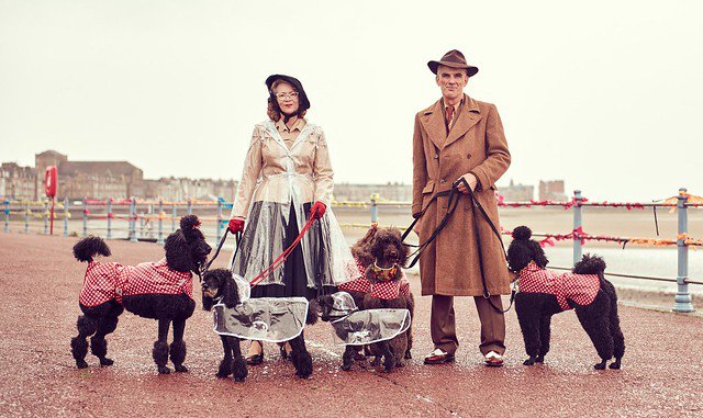 Pooches at Vintage by the sea 2018